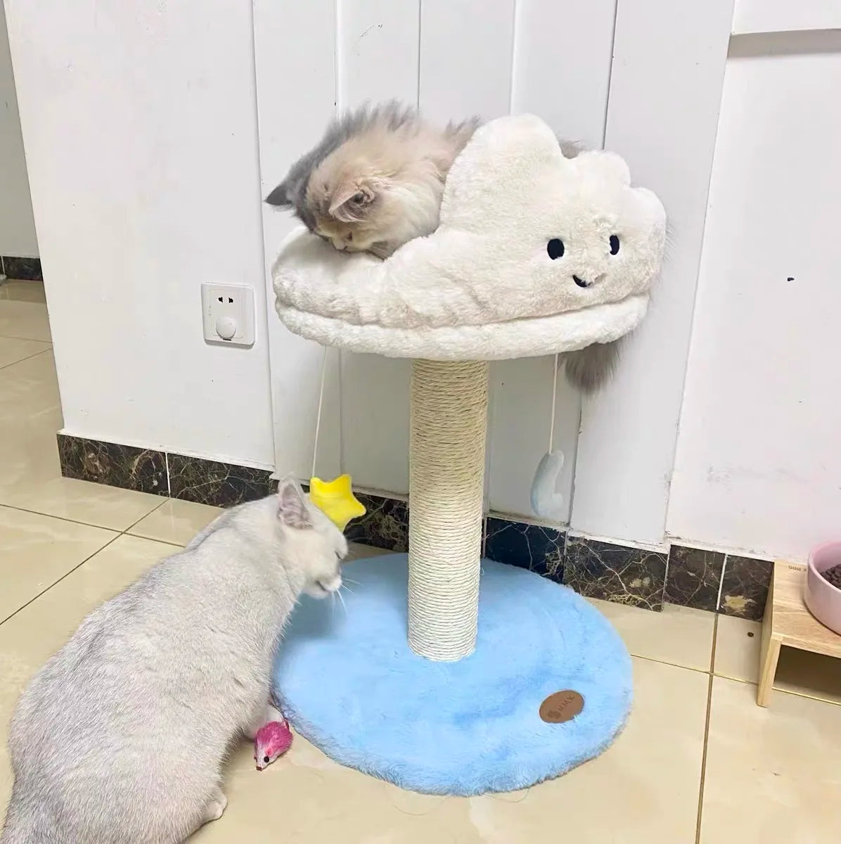 Arbre chat nuage - Nuage Douceur