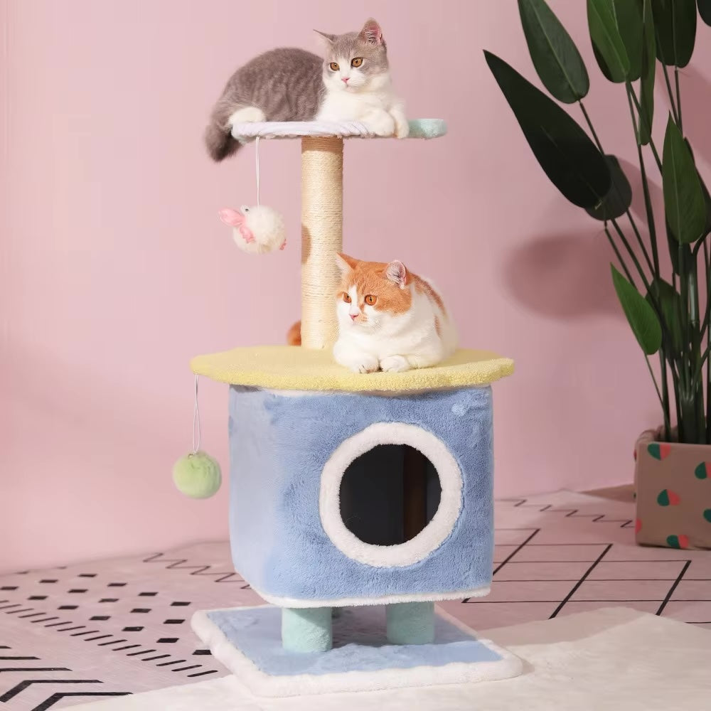 Arbre à chat | FéliZen