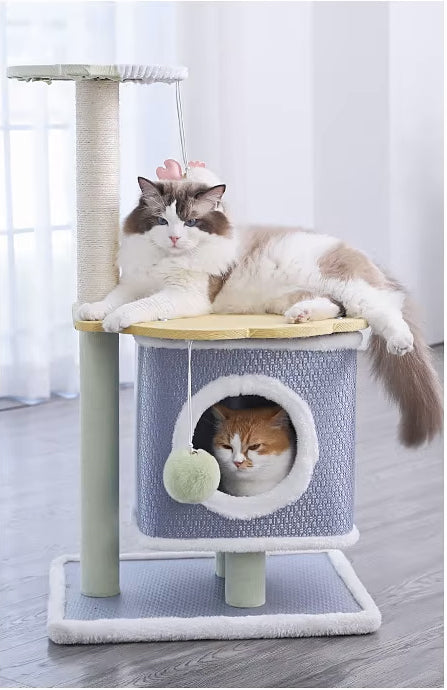 Arbre à chat | FéliZen