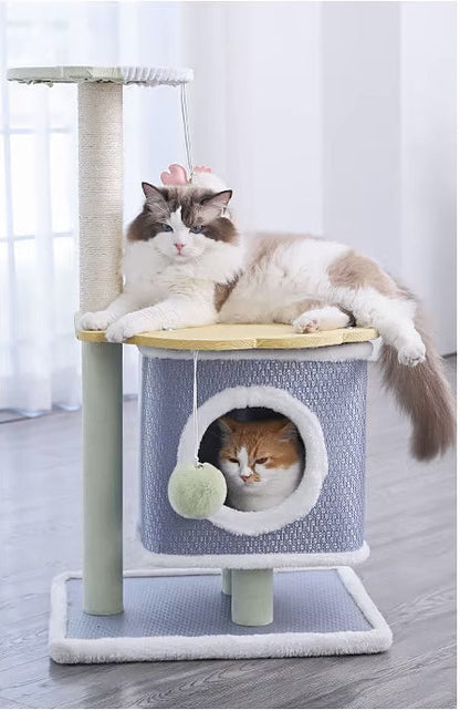 Arbre à chat | FéliZen