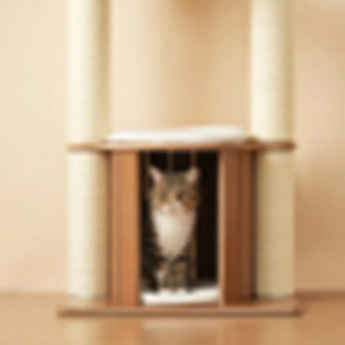 Arbre chat bois | Sylveo