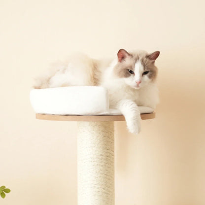 Arbre chat bois | Sylveo