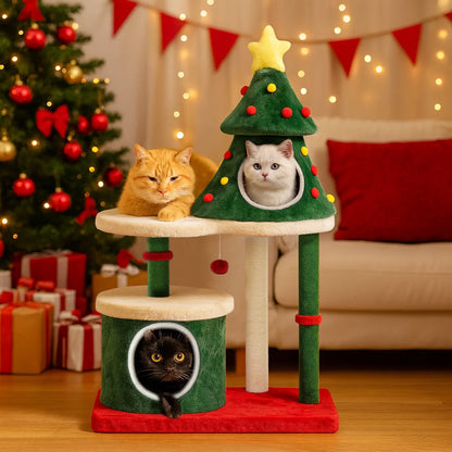 Arbre chat sapin | Sylvea