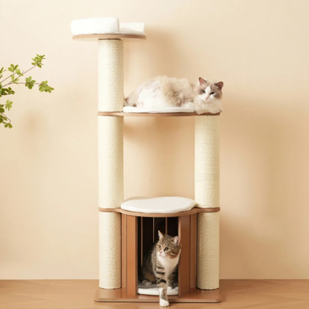 Arbre chat bois | Sylveo