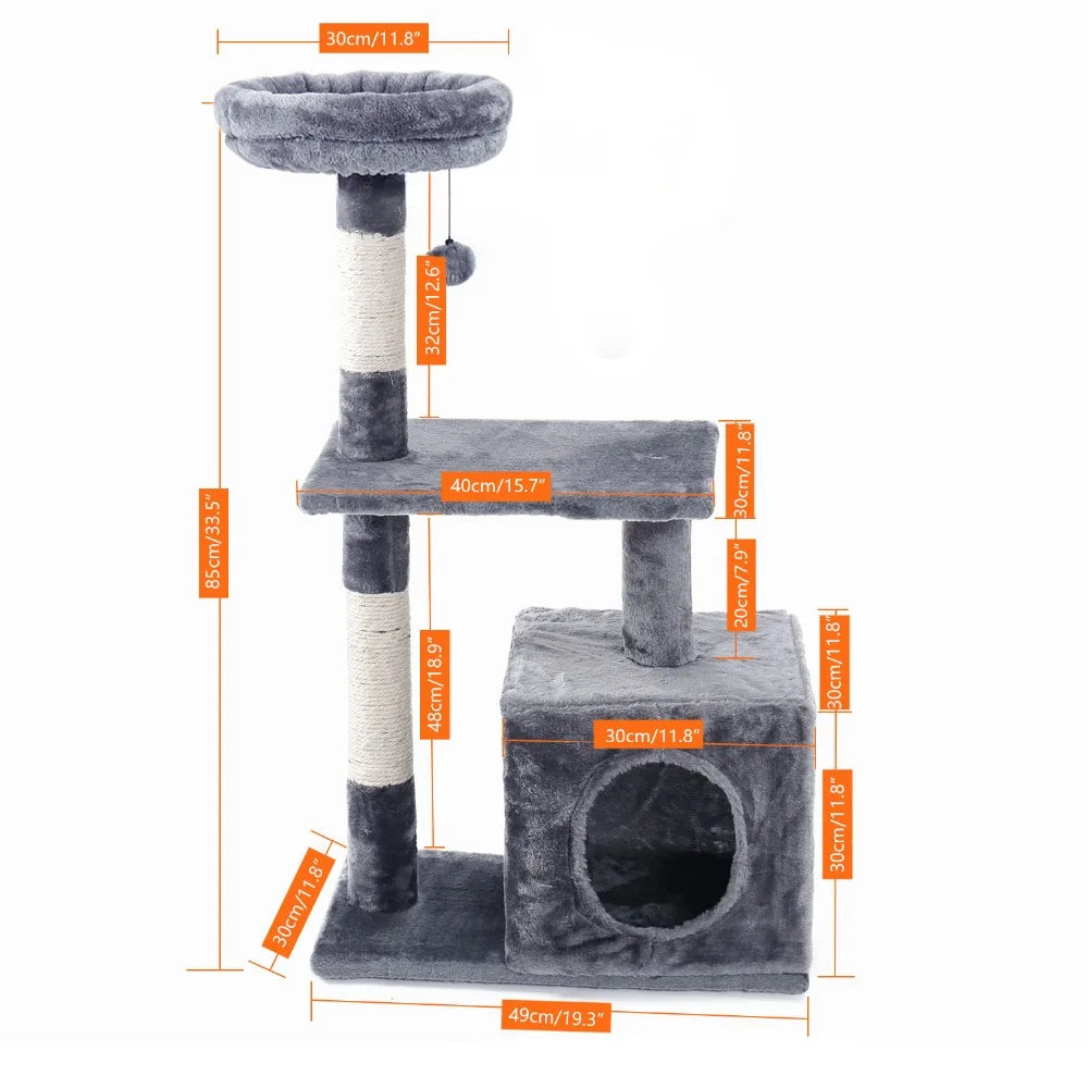 Arbre chat gris | Zenithome