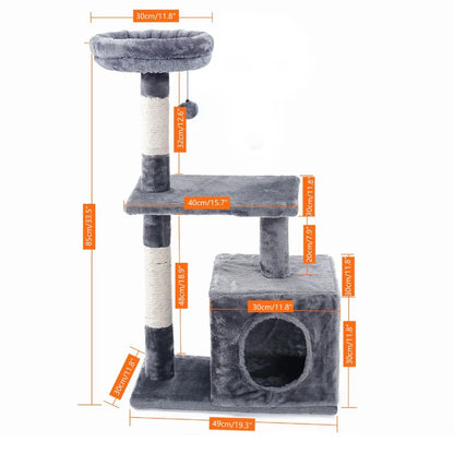 Arbre chat gris | Zenithome