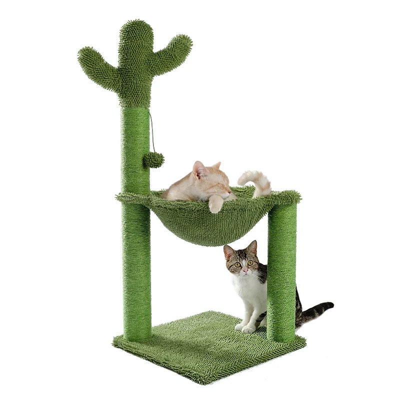 Arbre chat cactus | Cactou