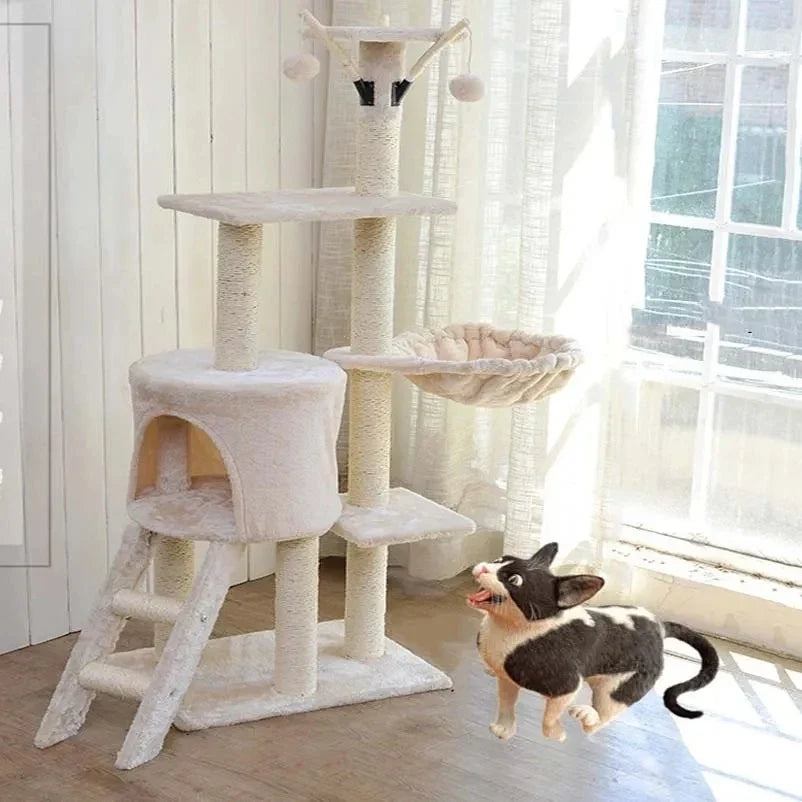 Arbre à chat - Châtaignier