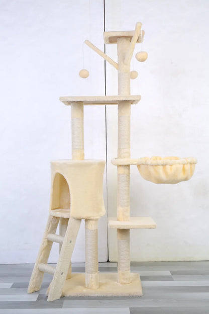 Arbre à chat - Châtaignier