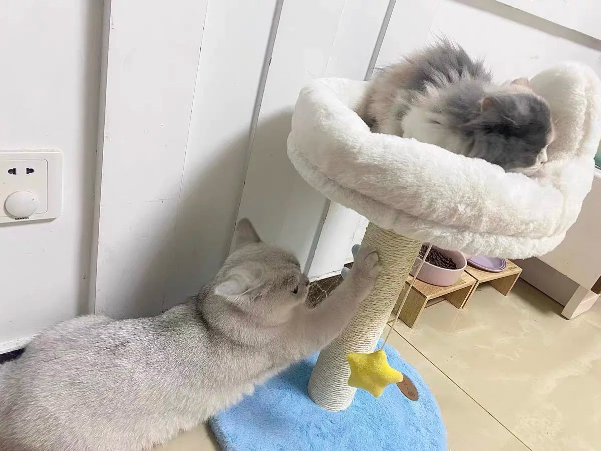 Arbre chat nuage - Nuage Douceur
