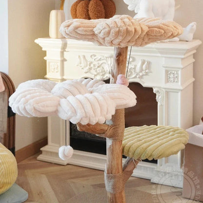 Arbre chat fleur | FloraNest
