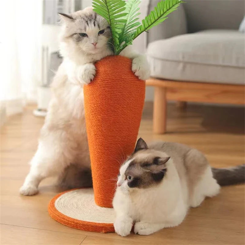 Arbre a chat | Caroti