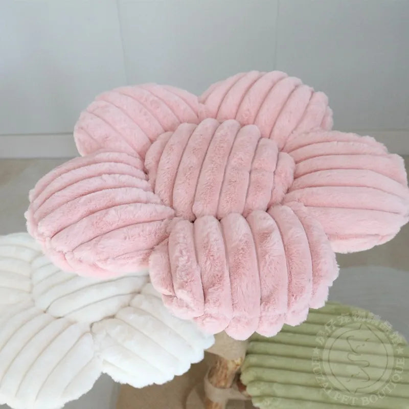 Arbre chat fleur | FloraNest