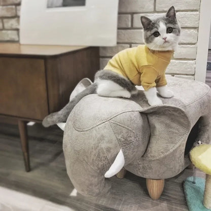 Arbre à chat | Faelan
