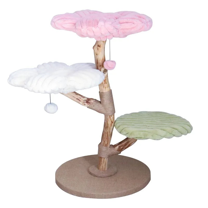 Arbre chat fleur | FloraNest