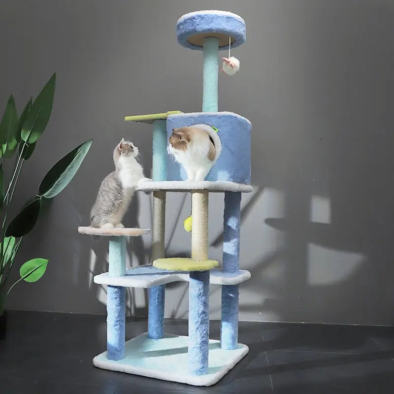 Arbre à chat | FéliZen