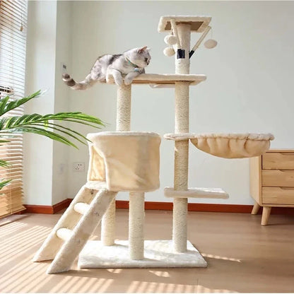 Arbre à chat - Châtaignier