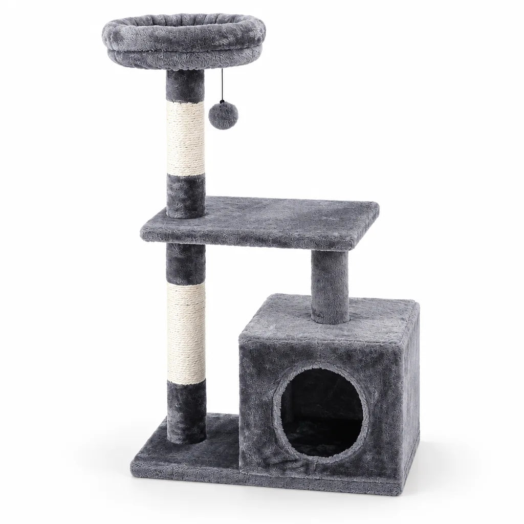 Arbre chat gris | Zenithome