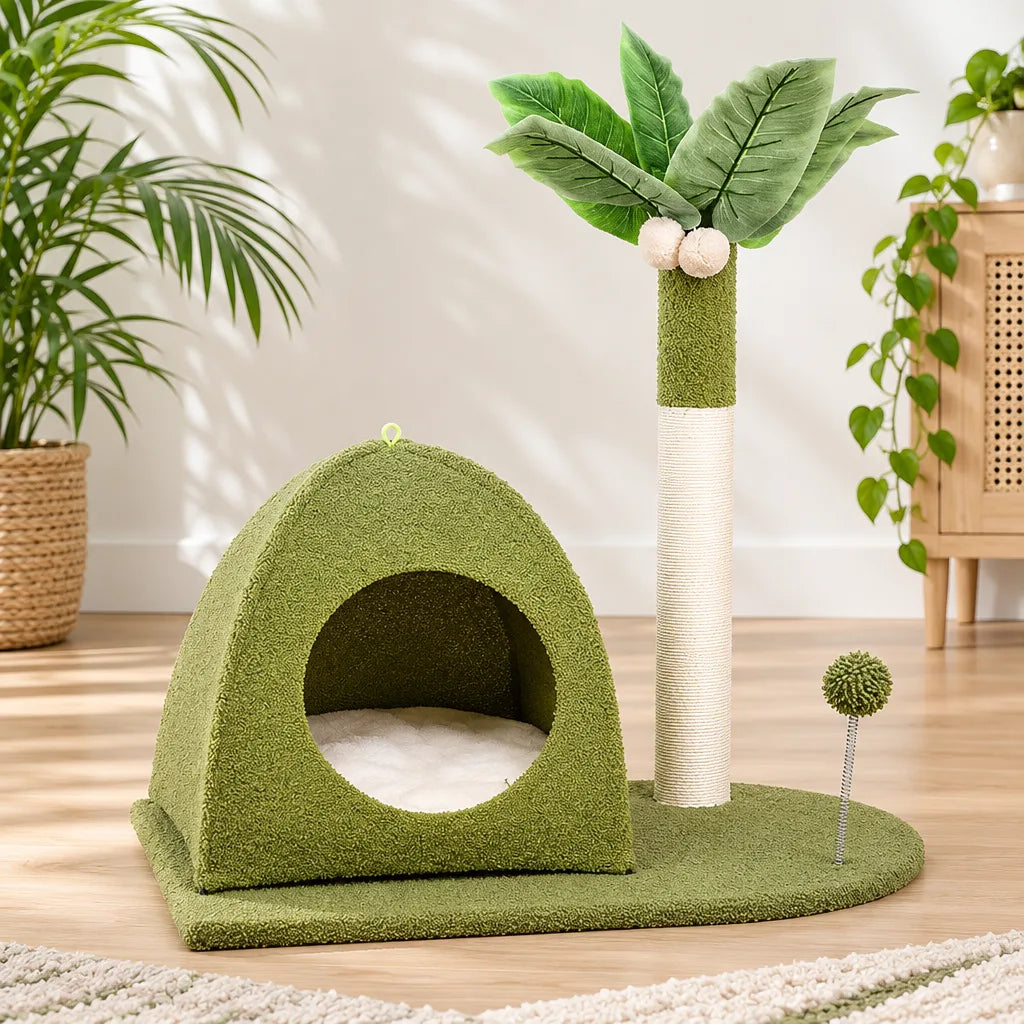 Arbre chat cocotier | PalmHaven