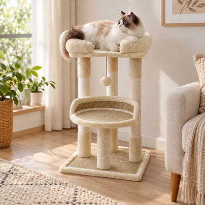 Arbre à chat | Felisylve