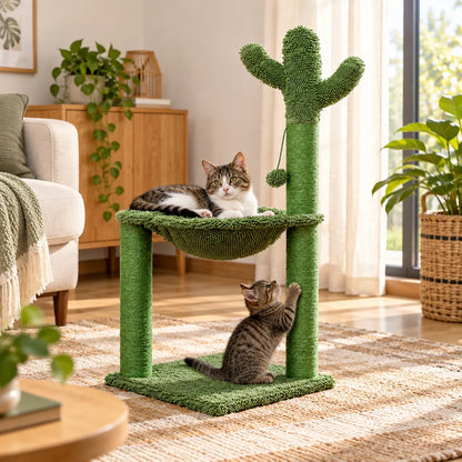 Arbre chat cactus | Cactou