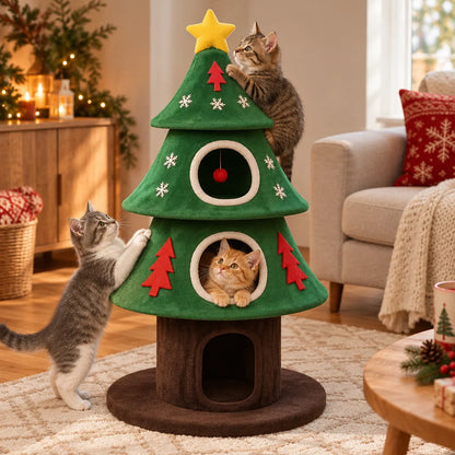 Arbre chat sapin | Sylvea