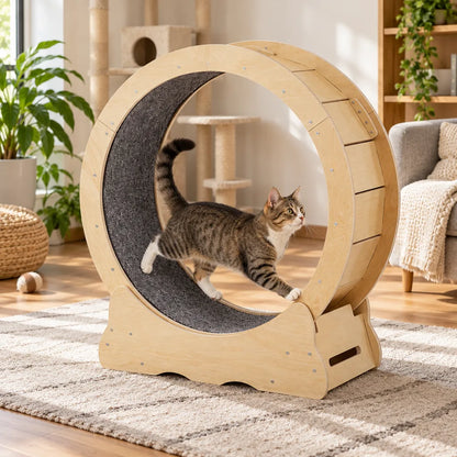 Roue pour chat | Galopino