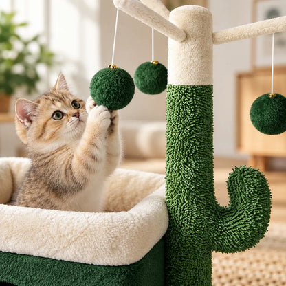 Arbre chat cactus - Cactou