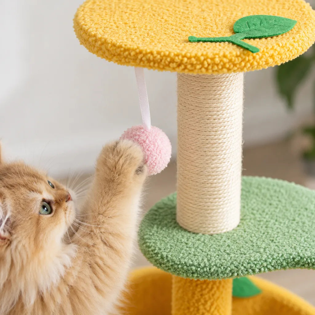 Arbre chat | Teddy