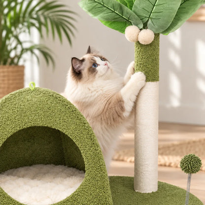 Arbre chat cocotier | PalmHaven