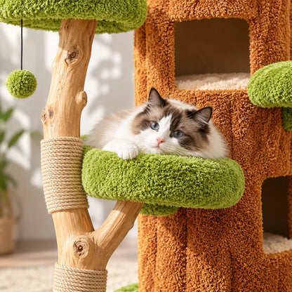 Arbre à chat | Felisylva