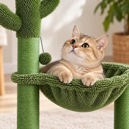 Arbre à chat | Arbolito