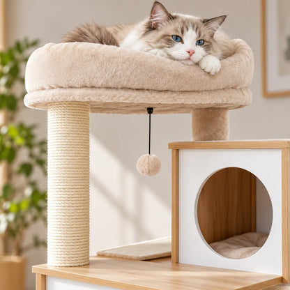 Arbre à chat | Felispace