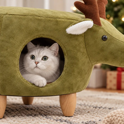 Arbre à chat | Faelan